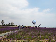 -渔岛海洋度假区