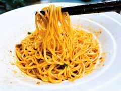 招牌老成都担担面-钟方模白家肥肠粉(春熙店)