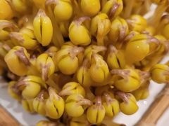 黄豆芽-巴奴毛肚火锅(大剧院店)