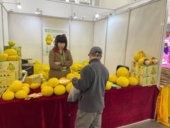 -宁波国际会展中心