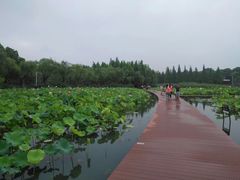 -暨阳湖生态园