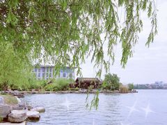 -南湖国家城市湿地公园