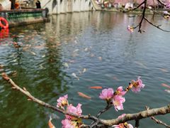 -宝墨园景区