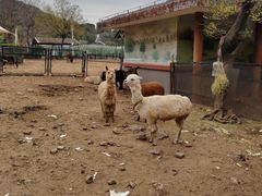 -无锡动物园·太湖欢乐园