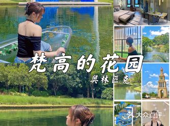 惠州秋游|坐着小船闯入惠州梵高的花园