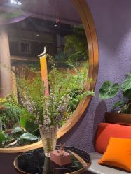 -花隐·美芙炫海菲秀皮肤管理中心