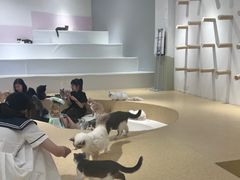 -水墨澜渟足道·SPA·传统(四望亭东关街店)