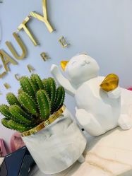 -Hi Beauty Skin 科技美肤中心