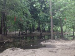 iphone_upload_pic-蒙山大佛景区