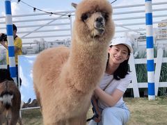 -Blue Concept Cafe&Farm·關於藍