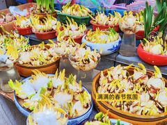 -清平路水族市场