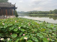 -湘湖大院(越王路店)