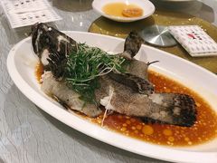 -强记海鲜·大排档(蛇口新街店)