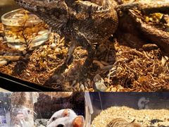 -太平洋海底世界