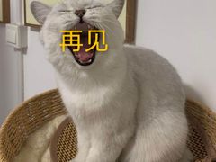 -老佛爷正宗铜炉蛙锅(五道口店)