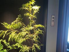 -宫燕府·京菜·烤鸭·淮扬菜(王府中心店)