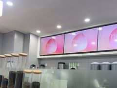 -雾与山茶(大禹城店)