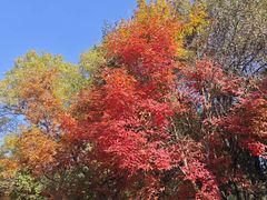 -长春市南湖公园