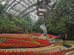 -南山植物园