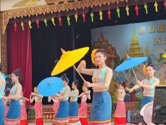 -西双版纳傣族园