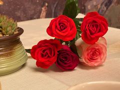 -龟兹KUCINA·新疆菜(前滩L+PLAZA店)