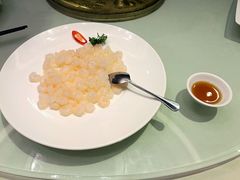 清炒野生河虾仁-圆苑(上海广场店)