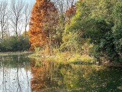 -溱湖国家湿地公园