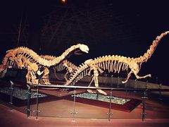 -世界恐龙谷景区