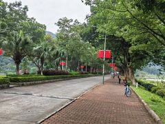 -风云岭森林公园