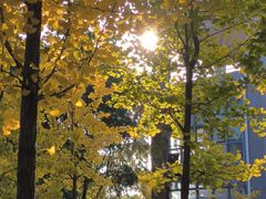 -江南大学(蠡湖校区)