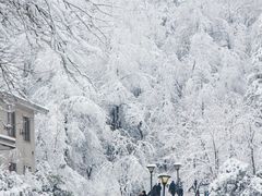 -四明山国家森林公园