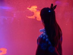 -芜湖新华联大白鲸海洋公园