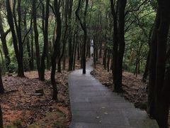 -火炉山森林公园
