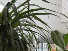 -青梅酒肆PLUS(长白仙岛北路店)