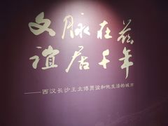-长沙简牍博物馆