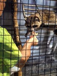 -酷嗒动物文化乐园(cutezoo西溪乐天城店)