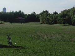 -长白岛森林公园