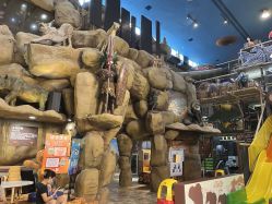 -卡通尼·Safari非洲探索乐园·生日会(金桥国际商业广场店)