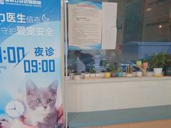 -美联众合动物医院·24h京西诊疗中心