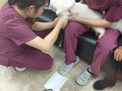 -美联众合动物医院·24h转诊中心