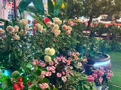 -山水茶艺馆·点心粤菜·30年老字号