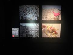 -现代汽车文化中心 Hyundai Motorstudio Beijing