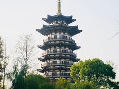 -洋湖国家湿地公园