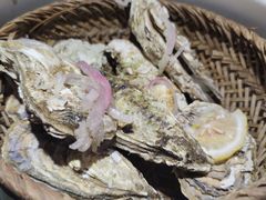 -蚝魁竹笼蒸生蚝 余杭店