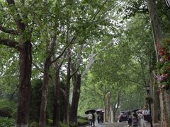 -棒棰岛宾馆景区