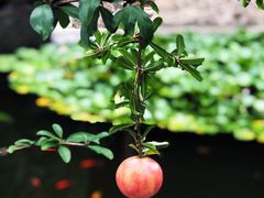 -南京金牛湖风景区