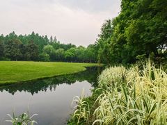 -柳莺湖上·湖景餐厅·江南菜(西湖店)