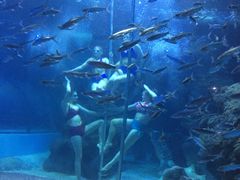 -左海海底世界
