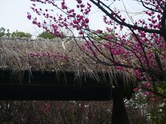 -武汉园博园(武汉自然博物馆)
