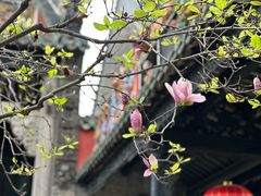 -陈家祠堂-游客中心